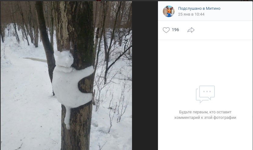 Фото дня: снежный кот &#171;забрался&#187; на дерево