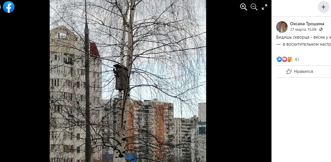 Фото дня: символ весны