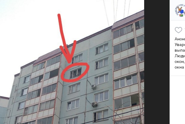 В Уваровском переулке собака едва не выпала из окна