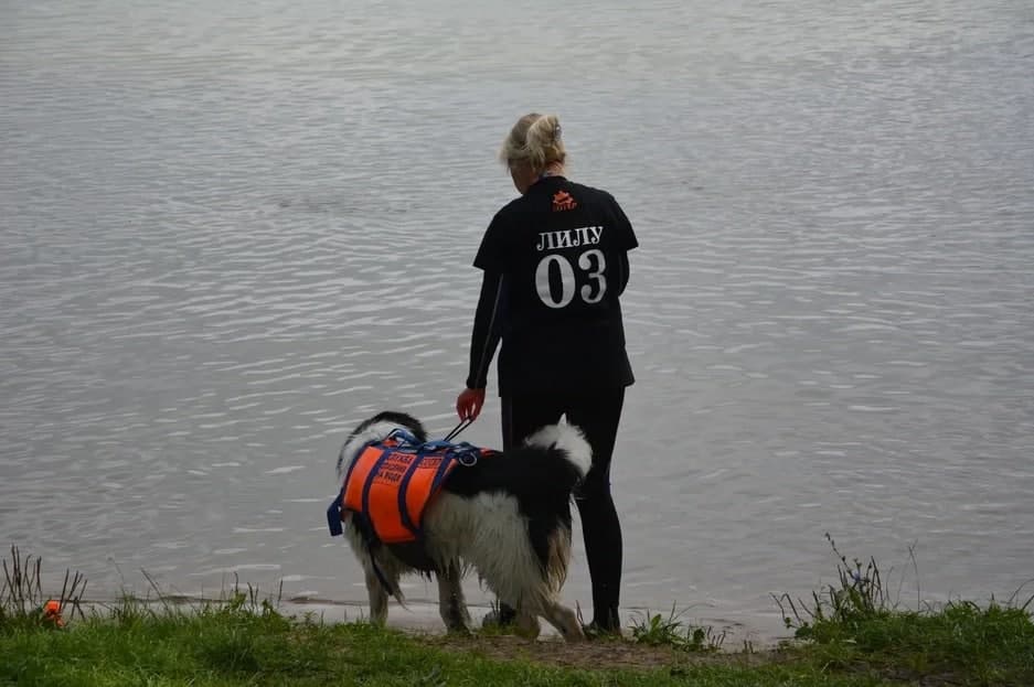 Сила, выносливость и точность: На поисково-спасательной станции «Строгино» прошли экзаменационные испытания собак-спасателей